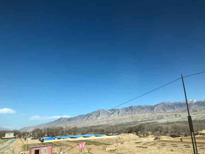 贵德黄河梨花小镇