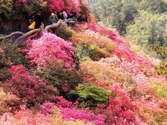 -木兰云雾山