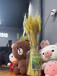 -CICI街舞专业培训