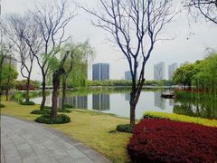 -南翔镇银翔湖公园