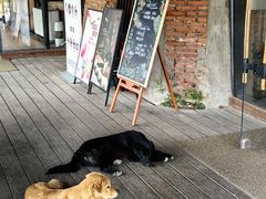 -祝甸砖窑文化馆