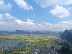 -会仙湿地