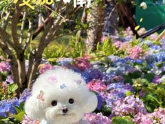 -丁香湖公园
