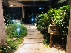 -罗亚帝·NASHOW纳秀形象设计