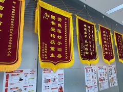 -中农国际动物医院24小时·猫科·骨科·急重症中心
