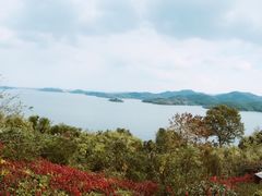 -天目湖涵田半山温泉