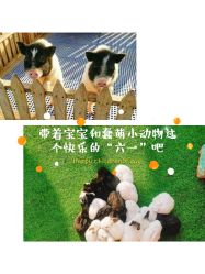 -萌宠亲子动物乐园(槐房万达店)