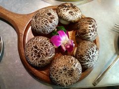-小牛哈尼章鱼水煎肉(金鹰店)