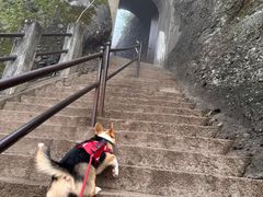 -方岩风景区