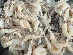 -福运来酒家(川南奉公路店)