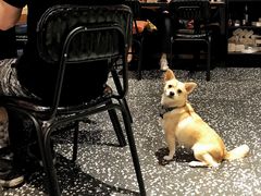 -Moka Bros 摩卡站(嘉华店)