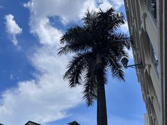 -市政署