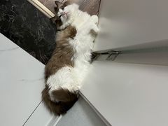 -美联众合24小时·皮肤科·外科·全科诊疗中心(华苑分院)