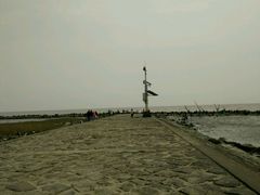 -南汇嘴观海公园