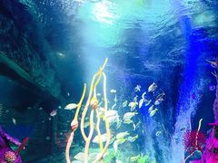 -沈阳海洋探索中心