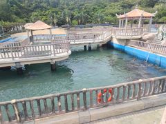 -广东惠东海龟国家级自然保护区
