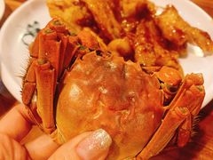 盘锦河蟹-小时候2013(瀚新店)