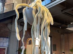 -一尺花园(首钢店)