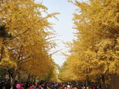 -辽宁大学(崇山校区)