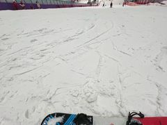 -哈尔滨热雪奇迹