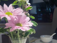 -云腾食府·云南菜