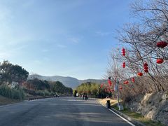 -习家池