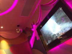 -米乐星世界KTV