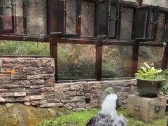 -泰莲庭·溪畔餐厅(雁栖湖店)