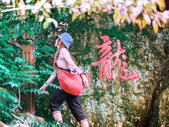 -十八棵（老龙井）御茶园(老龙井店)