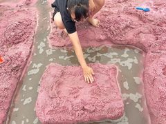 -上海杨姆庄园