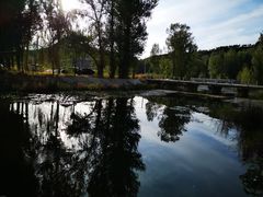 -紫海香堤香草艺术庄园