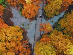 -桤木河湿地公园