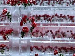 -万达广场(龙湖店)