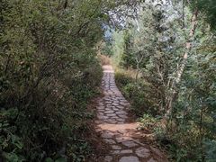-长虫山生态公园风景林