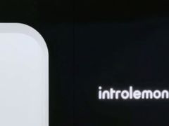 -introlemons(北京西单更新场店)