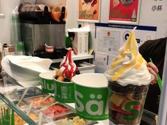-Salud撒露欧洲冻酸奶(五道口购物中心店)