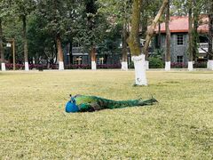 -西昌邛海宾馆