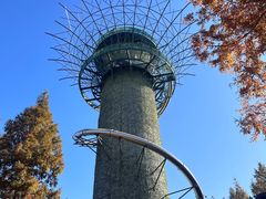 -黄海国家森林公园