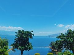 -野菌皇海景野生菌火锅(滨海大道店)