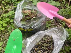 -铁山坪森林公园