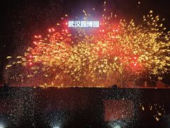 -武汉园博园(武汉自然博物馆)