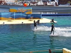 -秦皇岛乐岛海洋王国