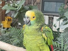 -南宫五洲植物乐园