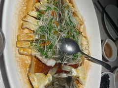 -船歌·鱼水饺青岛菜(闽江二路店)