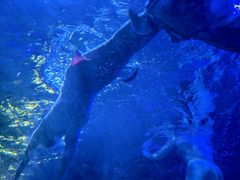 -江和美海洋公园