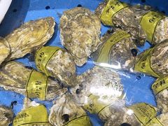 -丹东立强海鲜烧烤·牛B大串(星海店)