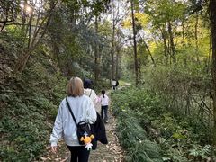 -浙里本味·宴四季江南(三台山路店)