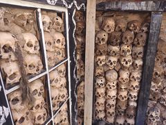 -比如骷髅墙景区