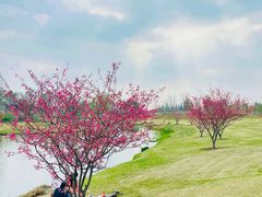 -上海辰山植物园