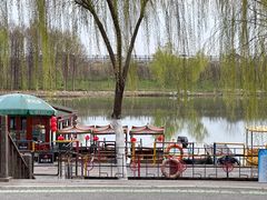 -合肥滨湖国家森林公园